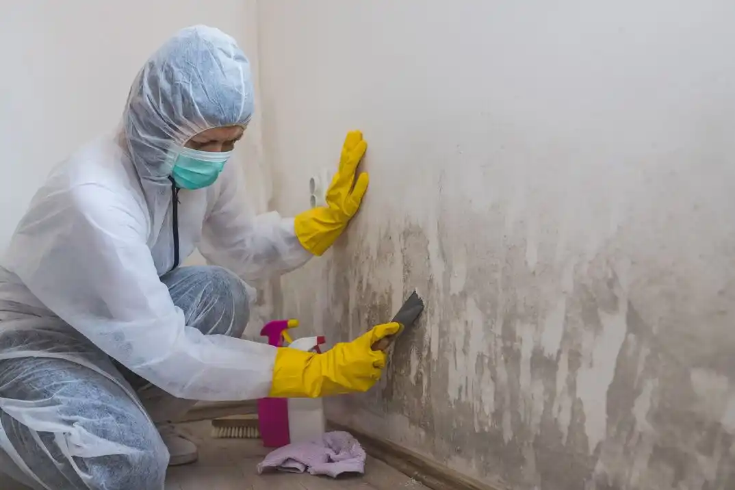 water damage restoration service Detroit Shoreway